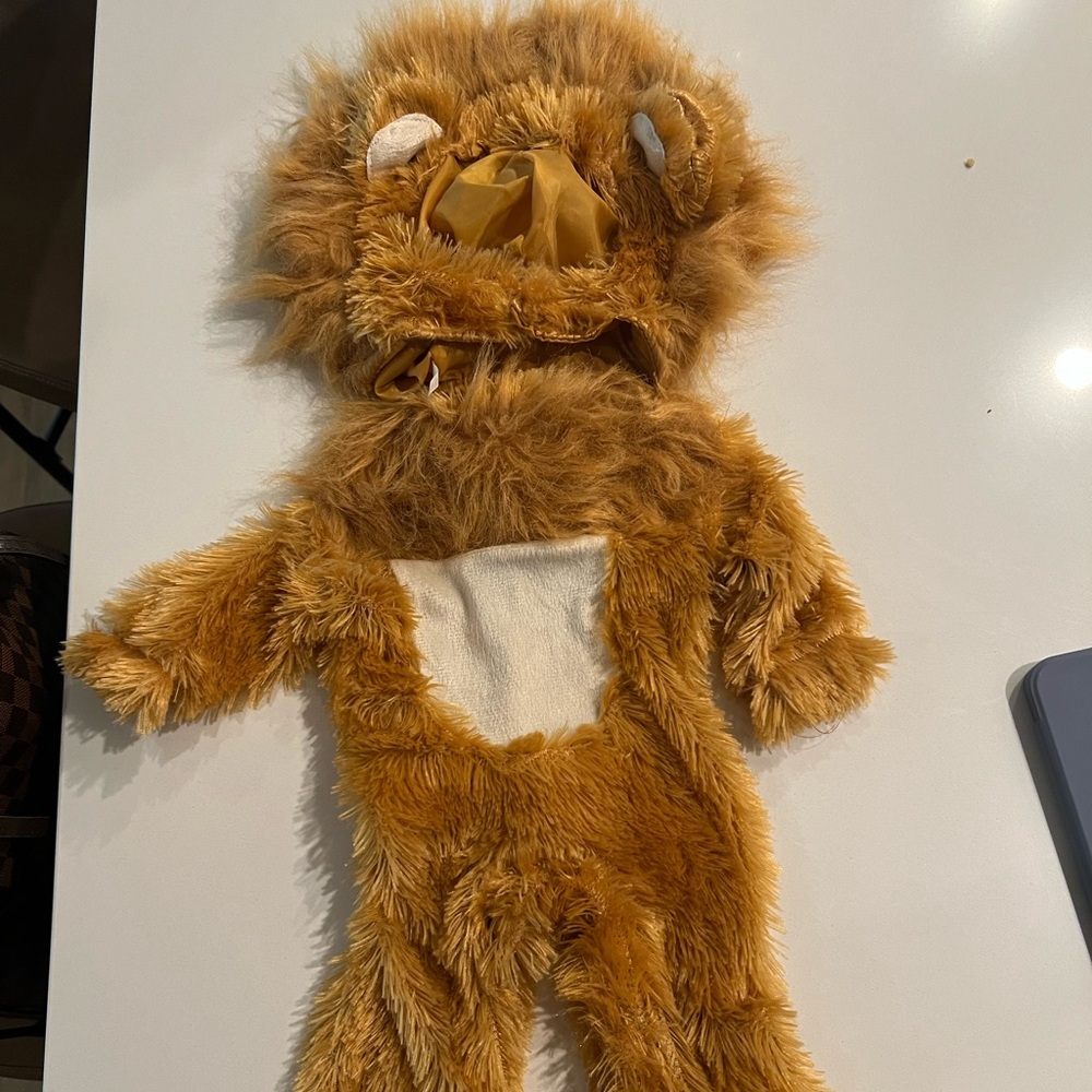 0-6 Month Baby Lion Costume